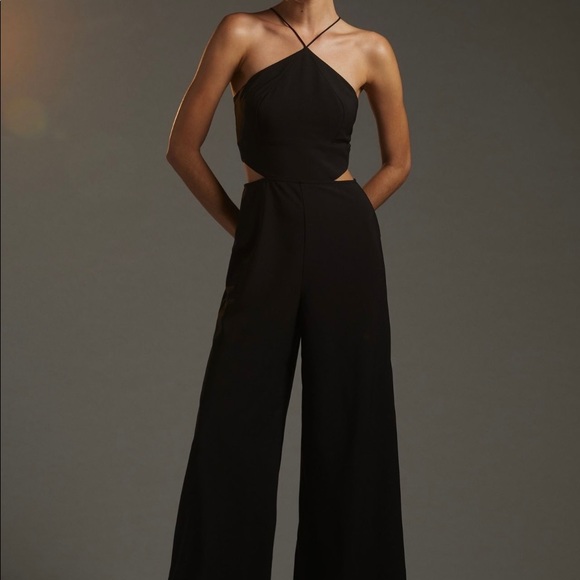 Anthropologie Pants - Anthropologie Hutch cutout wide leg jumpsuit